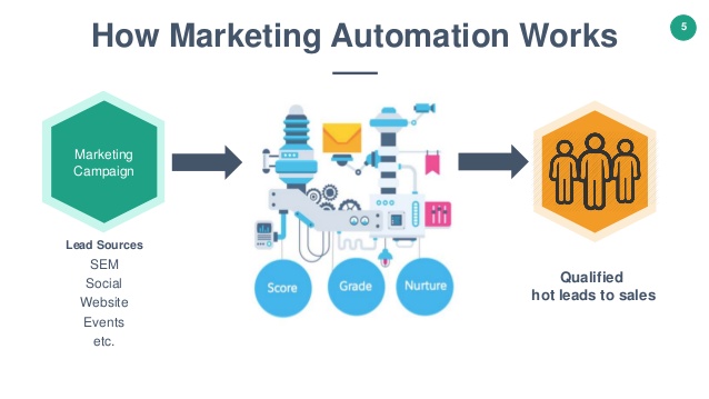 how marketing automation works